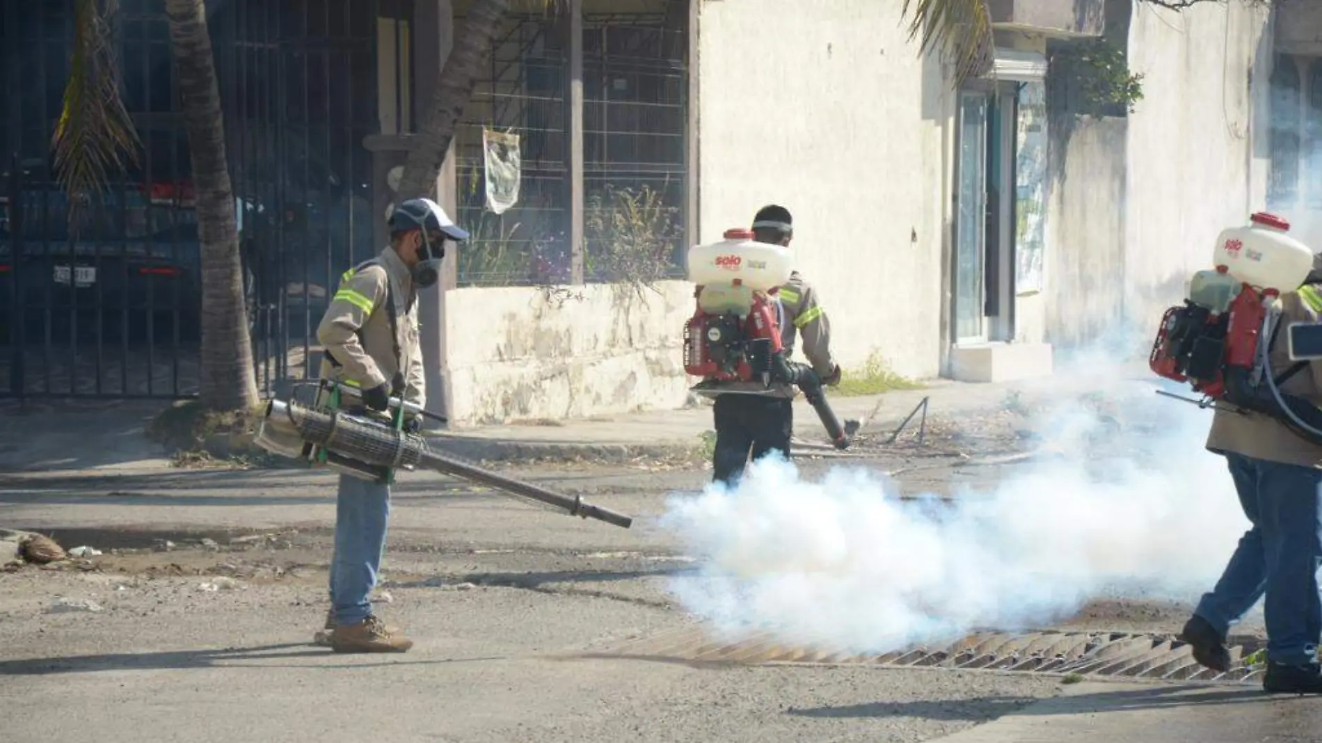 Veracruz lidera número de defunciones por dengue en México: Sector Salud